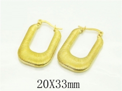 HY Wholesale Earrings 316L Stainless Steel Popular Jewelry Earrings-HY06E0400OR