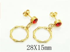 HY Wholesale Earrings 316L Stainless Steel Popular Jewelry Earrings-HY60E1598JZ