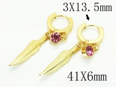 HY Wholesale Earrings 316L Stainless Steel Popular Jewelry Earrings-HY60E1504AJO