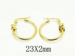 HY Wholesale Earrings 316L Stainless Steel Popular Jewelry Earrings-HY06E0416NZ