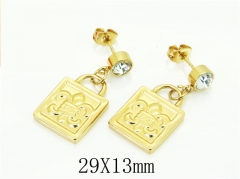 HY Wholesale Earrings 316L Stainless Steel Popular Jewelry Earrings-HY60E1661JZ