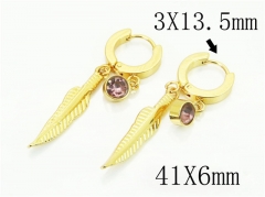 HY Wholesale Earrings 316L Stainless Steel Popular Jewelry Earrings-HY60E1506XJO