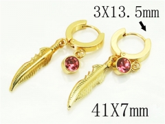 HY Wholesale Earrings 316L Stainless Steel Popular Jewelry Earrings-HY60E1510GJO