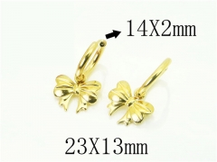HY Wholesale Earrings 316L Stainless Steel Popular Jewelry Earrings-HY06E0424NE