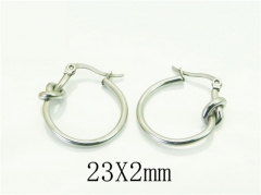 HY Wholesale Earrings 316L Stainless Steel Popular Jewelry Earrings-HY06E0415MG