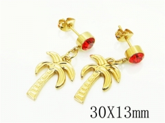 HY Wholesale Earrings 316L Stainless Steel Popular Jewelry Earrings-HY60E1604JW