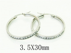 HY Wholesale Earrings 316L Stainless Steel Popular Jewelry Earrings-HY67E0520MF