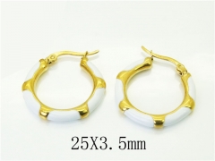 HY Wholesale Earrings 316L Stainless Steel Popular Jewelry Earrings-HY06E0450HFF