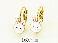 HY Wholesale Earrings 316L Stainless Steel Popular Jewelry Earrings-HY67E0542LR