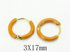 HY Wholesale Earrings 316L Stainless Steel Popular Jewelry Earrings-HY60E1677JZ