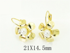 HY Wholesale Earrings 316L Stainless Steel Popular Jewelry Earrings-HY89E0522ZHO