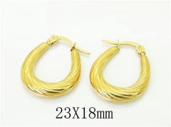 HY Wholesale Earrings 316L Stainless Steel Popular Jewelry Earrings-HY06E0446HDD