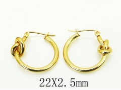 HY Wholesale Earrings 316L Stainless Steel Popular Jewelry Earrings-HY30E1581LL