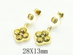 HY Wholesale Earrings 316L Stainless Steel Popular Jewelry Earrings-HY80E0850OE