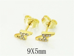 HY Wholesale Earrings 316L Stainless Steel Popular Jewelry Earrings-HY12E0337TII