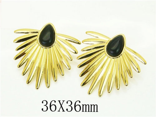 HY Wholesale Earrings 316L Stainless Steel Popular Jewelry Earrings-HY50E0013PB