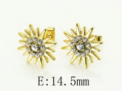 HY Wholesale Earrings 316L Stainless Steel Popular Jewelry Earrings-HY06E0428NW