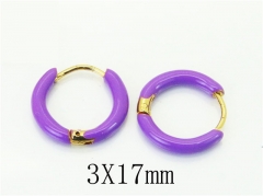 HY Wholesale Earrings 316L Stainless Steel Popular Jewelry Earrings-HY60E1679JF