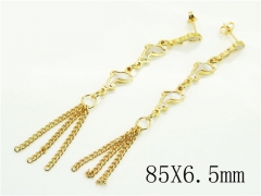 HY Wholesale Earrings 316L Stainless Steel Popular Jewelry Earrings-HY60E1738XKO
