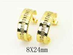 HY Wholesale Earrings 316L Stainless Steel Popular Jewelry Earrings-HY30E1597NL