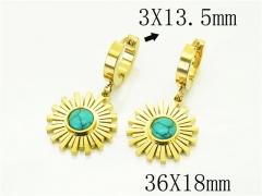 HY Wholesale Earrings 316L Stainless Steel Popular Jewelry Earrings-HY32E0470OR