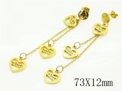 HY Wholesale Earrings 316L Stainless Steel Popular Jewelry Earrings-HY91E0524HHF