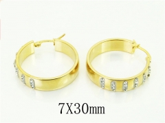 HY Wholesale Earrings 316L Stainless Steel Popular Jewelry Earrings-HY67E0515MQ
