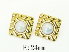 HY Wholesale Earrings 316L Stainless Steel Popular Jewelry Earrings-HY50E0022OD