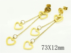 HY Wholesale Earrings 316L Stainless Steel Popular Jewelry Earrings-HY91E0529HHW