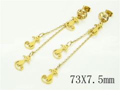 HY Wholesale Earrings 316L Stainless Steel Popular Jewelry Earrings-HY91E0516HHW