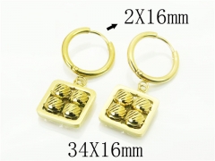 HY Wholesale Earrings 316L Stainless Steel Popular Jewelry Earrings-HY80E0848NL