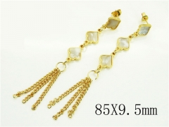 HY Wholesale Earrings 316L Stainless Steel Popular Jewelry Earrings-HY60E1743UKO