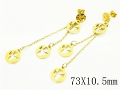 HY Wholesale Earrings 316L Stainless Steel Popular Jewelry Earrings-HY91E0536HHD