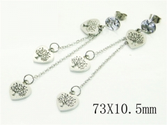HY Wholesale Earrings 316L Stainless Steel Popular Jewelry Earrings-HY91E0499PW