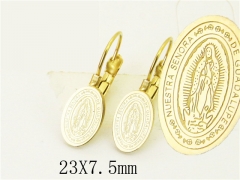HY Wholesale Earrings 316L Stainless Steel Popular Jewelry Earrings-HY89E0531EHO