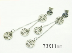 HY Wholesale Earrings 316L Stainless Steel Popular Jewelry Earrings-HY91E0500PE