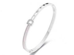 HY Wholesale Bangle Stainless Steel 316L Jewelry Bangle-HY0155B0144