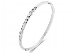 HY Wholesale Bangle Stainless Steel 316L Jewelry Bangle-HY0155B0110