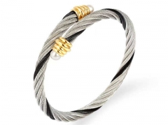 HY Wholesale Bangle Stainless Steel 316L Jewelry Bangle-HY0155B0696