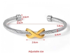 HY Wholesale Bangle Stainless Steel 316L Jewelry Bangle-HY0155B0681