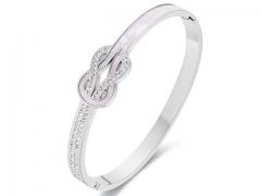 HY Wholesale Bangle Stainless Steel 316L Jewelry Bangle-HY0155B0129
