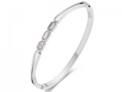 HY Wholesale Bangle Stainless Steel 316L Jewelry Bangle-HY0155B0135