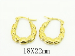HY Wholesale Earrings 316L Stainless Steel Earrings Jewelry-HY80E0875OD