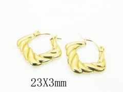 HY Wholesale Earrings 316L Stainless Steel Earrings Jewelry-HY30E1643VJL
