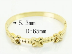 HY Wholesale Bangles Jewelry Stainless Steel 316L Popular Bangle-HY80B1825HIL