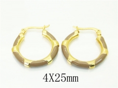 HY Wholesale Earrings 316L Stainless Steel Earrings Jewelry-HY60E1788KF