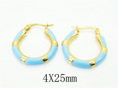 HY Wholesale Earrings 316L Stainless Steel Earrings Jewelry-HY60E1786KW