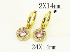 HY Wholesale Earrings 316L Stainless Steel Earrings Jewelry-HY25E0748HAL