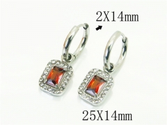 HY Wholesale Earrings 316L Stainless Steel Earrings Jewelry-HY25E0754CPL