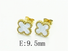 HY Wholesale Earrings 316L Stainless Steel Earrings Jewelry-HY80E0883KL